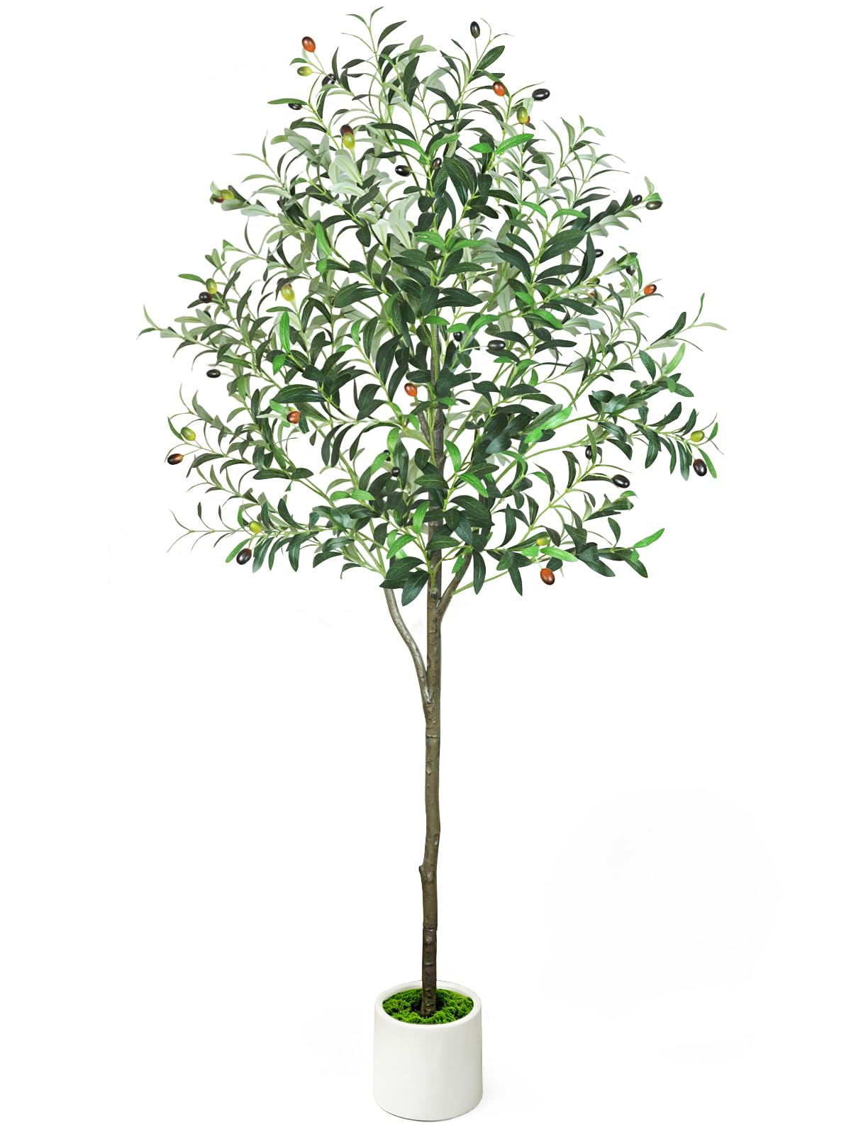 6ft Olive Trees Artificial Indoor with Pot, Faux Fake Olive Tree with Realistic Wood Trunk and Lifelike Fruits, Large Faux Plant for Home Living Room Entryway Office Decor