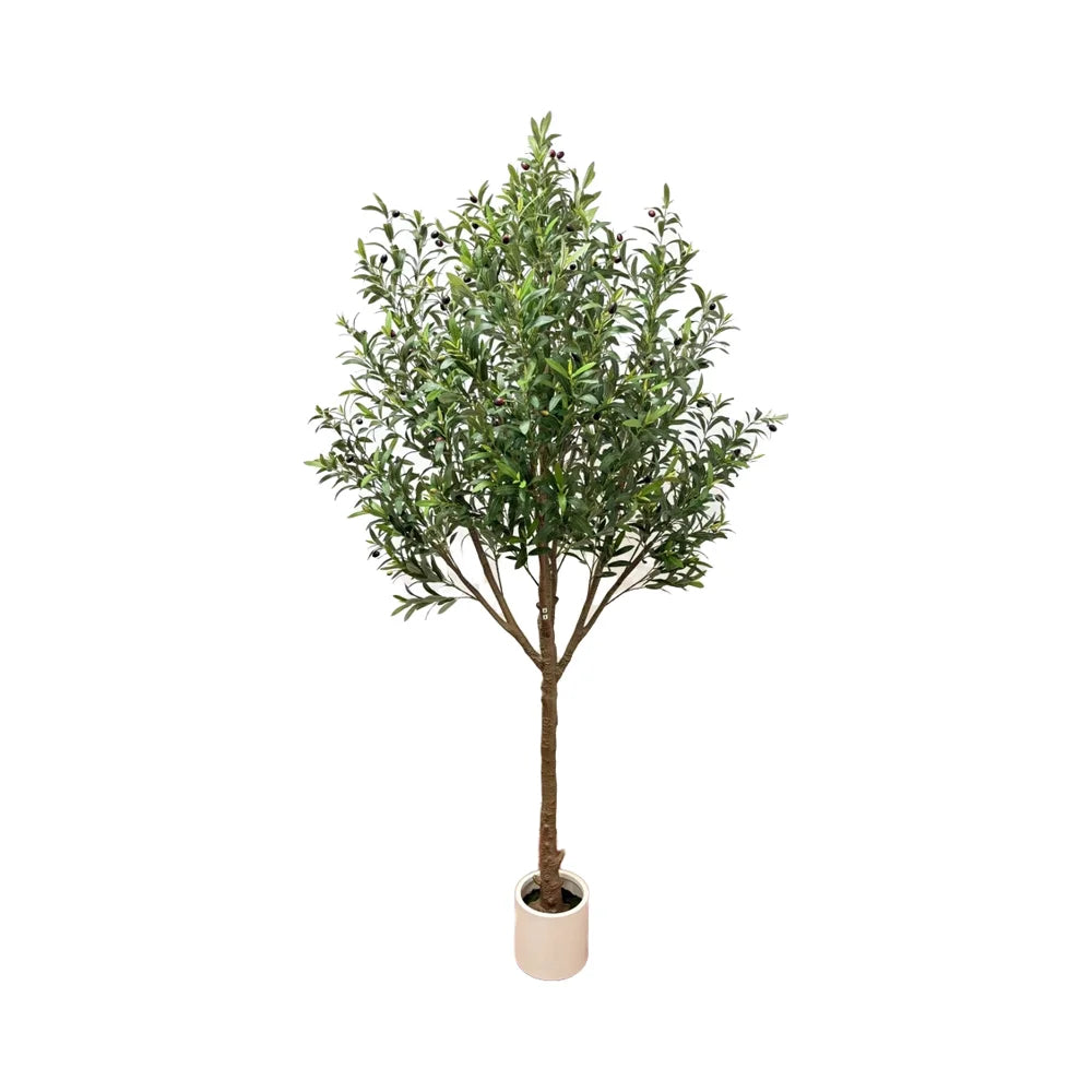 8ft Beautifully Crafted Artificial Olive Tree Plastic Product for Wedding Genre