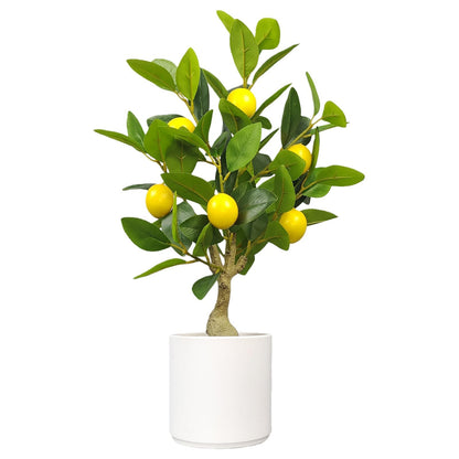 Artificial Lemon Tree 20.5 Inches Tall, Fake Potted Citrus Plant with Lemons and White Pot, Faux Fruit Plant Medium Fake Houseplant for Indoor Home Office Desk Room Table Decor