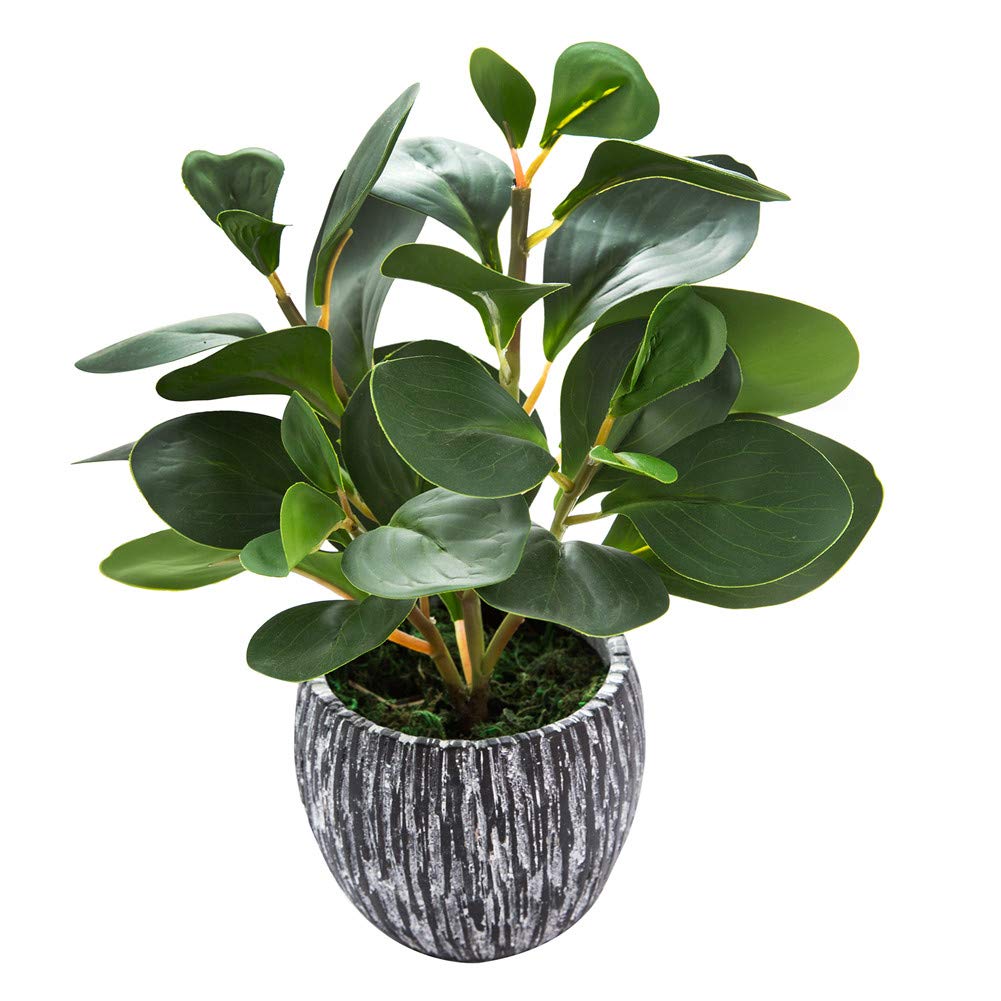 AlphaAcc Artificial Plants Decor Greenery Fake Succulents Indoor Potted Fake Plant with Rustic Black Clay Planter for Home Decor Farmhouse Room Bathroom Bedroom Kitchen Office Table Decor