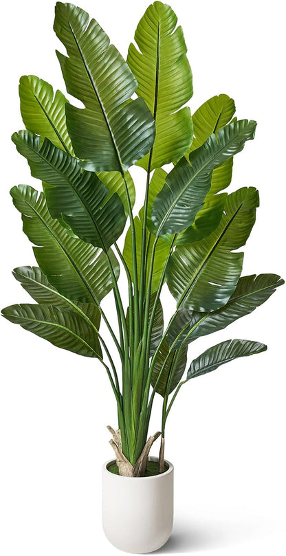 VeriNatural Bird of Paradise Artificial Plant,6Ft Tall Fake Plants Indoor with 11" White Planter, Faux Tropical Palm Tree with 10 Trunks, Large Artificial Tree Decor for Living Room Office Home