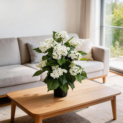 24 Inch Artificial White Hydrangea Potted Plant, 2 Pack Faux Silk Flower Bonsai Tree with Black Planter, Realistic Fake Flower for Tabletop, Shelf, Home Bedroom Office Porch Decor