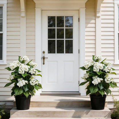 24 Inch Artificial White Hydrangea Potted Plant, 2 Pack Faux Silk Flower Bonsai Tree with Black Planter, Realistic Fake Flower for Tabletop, Shelf, Home Bedroom Office Porch Decor