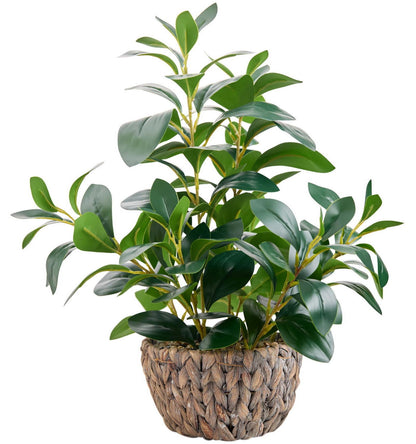 AlphaAcc Artificial Plants Decor Greenery Fake Succulents Indoor Potted Fake Plant with Rustic Black Clay Planter for Home Decor Farmhouse Room Bathroom Bedroom Kitchen Office Table Decor