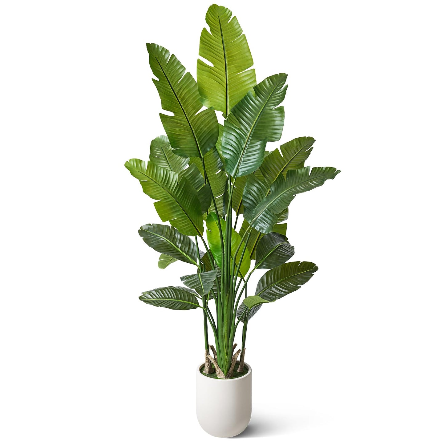 VeriNatural Bird of Paradise Artificial Plant,6Ft Tall Fake Plants Indoor with 11" White Planter, Faux Tropical Palm Tree with 10 Trunks, Large Artificial Tree Decor for Living Room Office Home