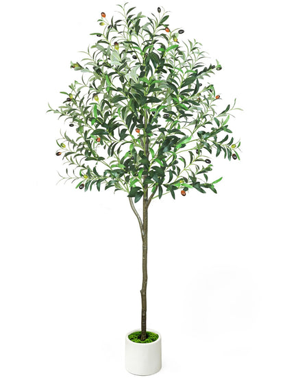 6ft Olive Trees Artificial Indoor with Pot, Faux Fake Olive Tree with Realistic Wood Trunk and Lifelike Fruits, Large Faux Plant for Home Living Room Entryway Office Decor