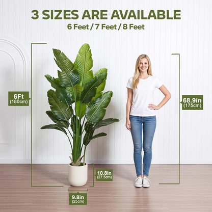 VeriNatural Bird of Paradise Artificial Plant,6Ft Tall Fake Plants Indoor with 11" White Planter, Faux Tropical Palm Tree with 10 Trunks, Large Artificial Tree Decor for Living Room Office Home