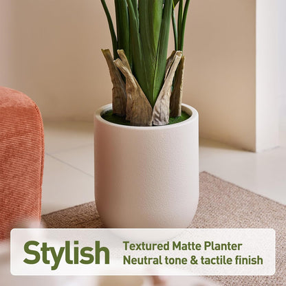 VeriNatural Bird of Paradise Artificial Plant,6Ft Tall Fake Plants Indoor with 11" White Planter, Faux Tropical Palm Tree with 10 Trunks, Large Artificial Tree Decor for Living Room Office Home