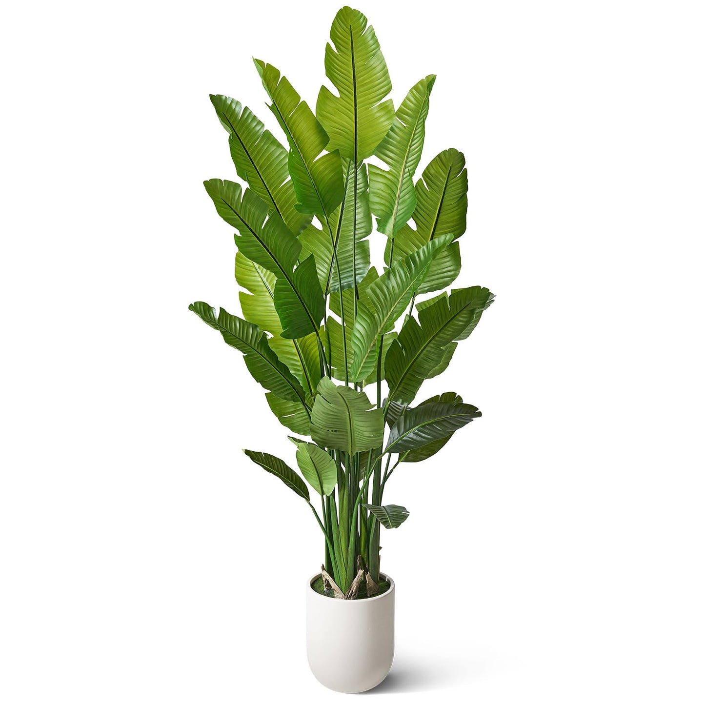 VeriNatural Bird of Paradise Artificial Plant,6Ft Tall Fake Plants Indoor with 11" White Planter, Faux Tropical Palm Tree with 10 Trunks, Large Artificial Tree Decor for Living Room Office Home