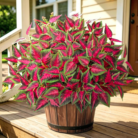 Betylifoy Artificial Plants Outdoor 4 Bundles Faux Coleus Plants UV Resistant Fake Silk Leaves Greenery Plant with Stems for Outside Garden Front Porch Patio Planter Pathway Decoration