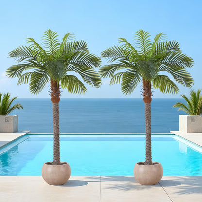 FloraFairy 6FT Artificial Coconut Palm, Faux Coconut Silk Palm Tree, Tropical Fake Trees for Indoor Outdoor, Large Sago Palm Plant for Home Office Garden Patio Poolside, 1 Pack