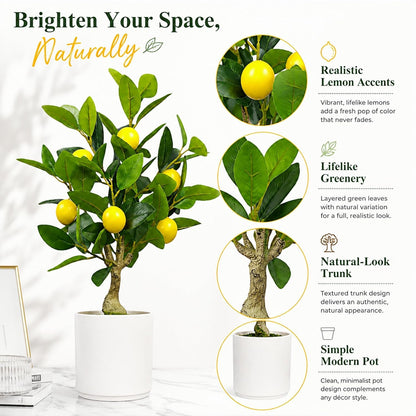 Artificial Lemon Tree 20.5 Inches Tall, Fake Potted Citrus Plant with Lemons and White Pot, Faux Fruit Plant Medium Fake Houseplant for Indoor Home Office Desk Room Table Decor