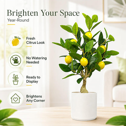Artificial Lemon Tree 20.5 Inches Tall, Fake Potted Citrus Plant with Lemons and White Pot, Faux Fruit Plant Medium Fake Houseplant for Indoor Home Office Desk Room Table Decor
