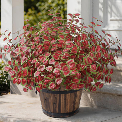 Ivydale Artificial Plants Outdoor 5 Pcs, Faux Greenery Plants Outdoor UV Resistant Silk Plants with Stems, Fake Plants for Outside Planter Front Porch Patio Pathway Decoration(Red)