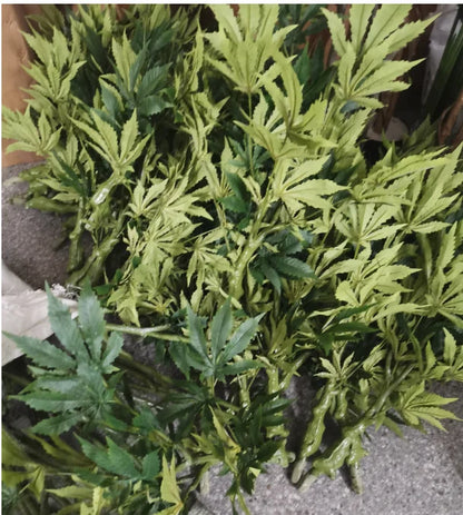 Faxu Marijuana Plants  Fake Hemp  Plant  for Home Decor