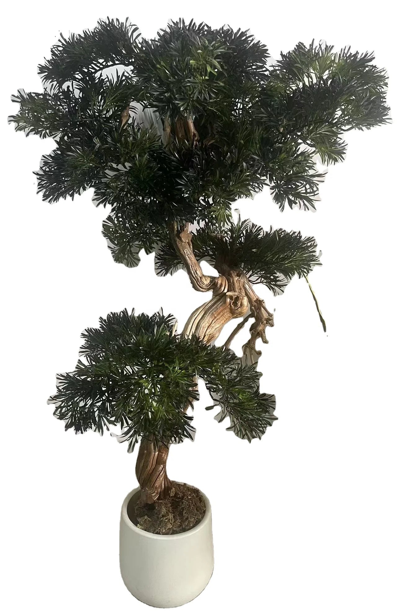 Ov T5 Artificial Plastic Green Pine Tree 200-550cm Home Decoration for Restaurants Hotels Weddings