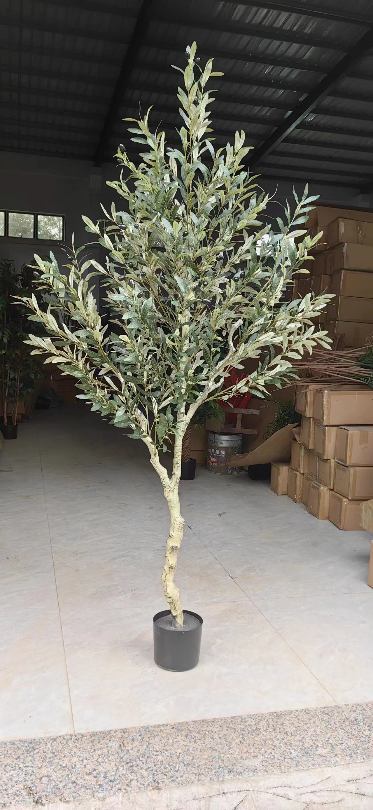 Tall 6ft Artificial Olive Tree Bonsai Made in China Potted in Plastic Pot Ov Brand