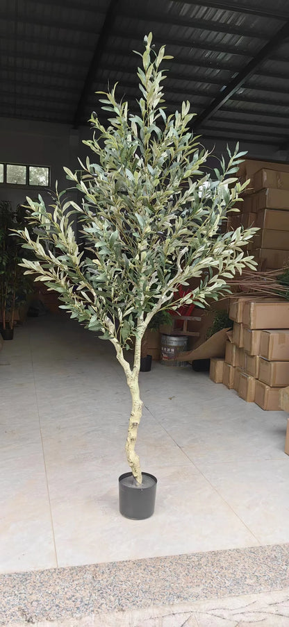 Tall 6ft Artificial Olive Tree Bonsai Made in China Potted in Plastic Pot Ov Brand