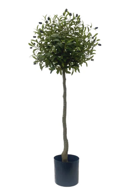 Wholesale Large Artificial Old Olive Trees Decorative Art with PE Trunk for Home or Office Decor