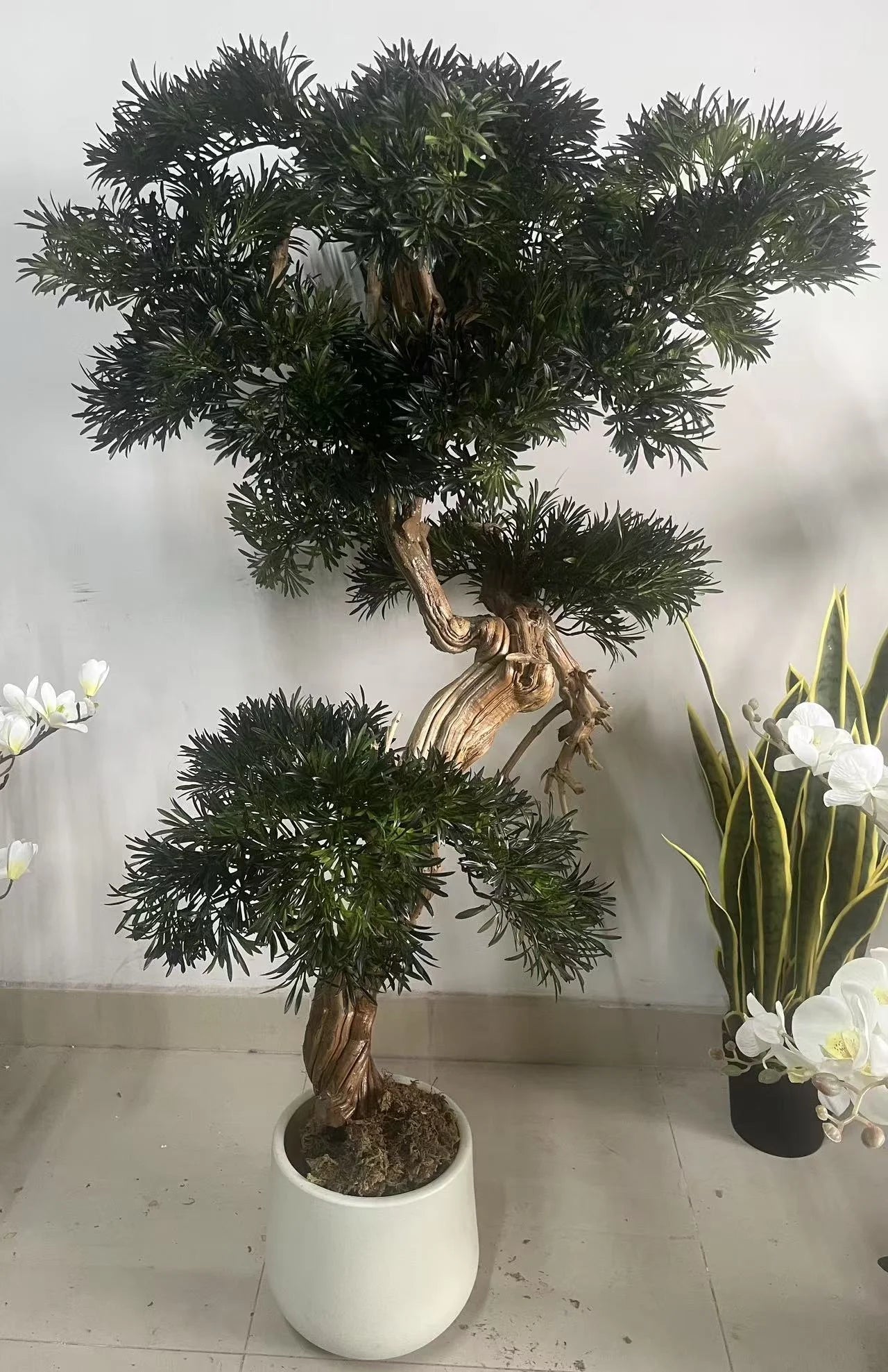 Ov T5 Artificial Plastic Green Pine Tree 200-550cm Home Decoration for Restaurants Hotels Weddings