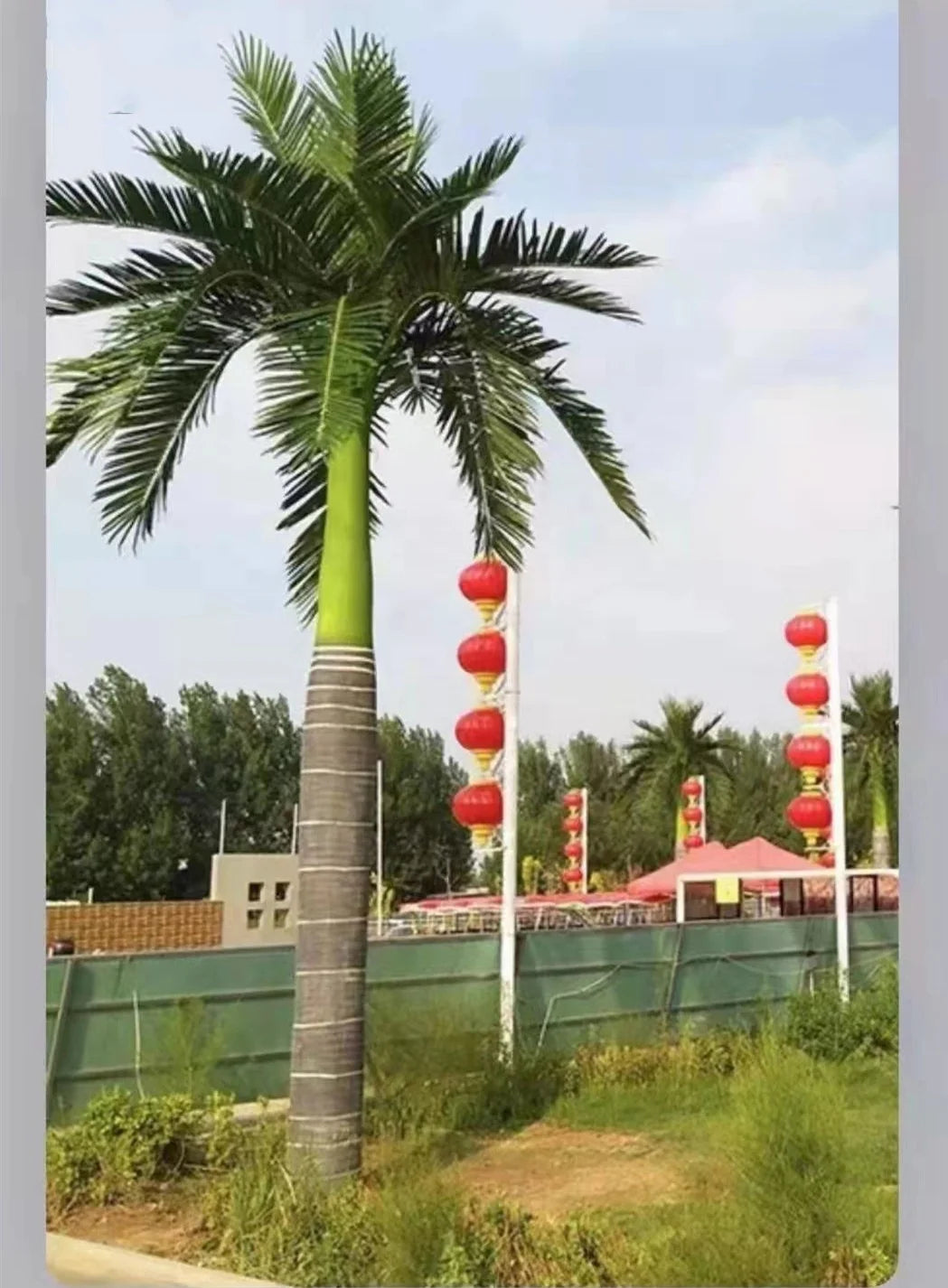 Artificial  king Coconut Palm Trees Fiberglass Trunk Use for Outdoor Decoration