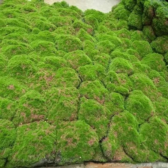Artificial Moss Wall Decor for Office or Hotel Fabric-based Stone Wall for Party Wall Decor for Living Space