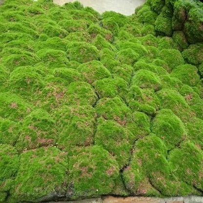 Artificial Moss Wall Decor for Office or Hotel Fabric-based Stone Wall for Party Wall Decor for Living Space