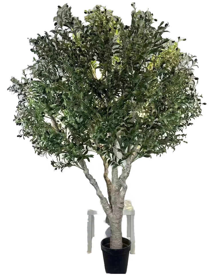 Tall 6ft Artificial Olive Tree Bonsai Made in China Potted in Plastic Pot Ov Brand