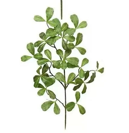 Artificial Olive Leaf