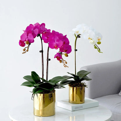 Wholesale Plastic Orchid Plants with Plastic Leaves and Flowers for Home and Garden Decoration Orchid Artificial