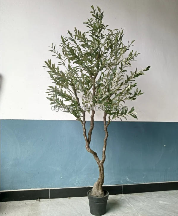 Tall 6ft Artificial Olive Tree Bonsai Made in China Potted in Plastic Pot Ov Brand