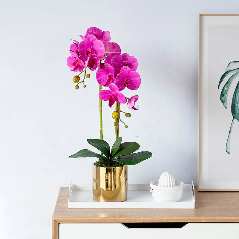 Wholesale Plastic Orchid Plants with Plastic Leaves and Flowers for Home and Garden Decoration Orchid Artificial