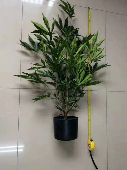 Artificial Hemp Plants Fabric and PE Material Fake Hemp Plastic Plant Green Eco-Friendly 120-150cm in Stock