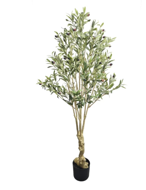 Wholesale Large Artificial Old Olive Trees Decorative Art with PE Trunk for Home or Office Decor