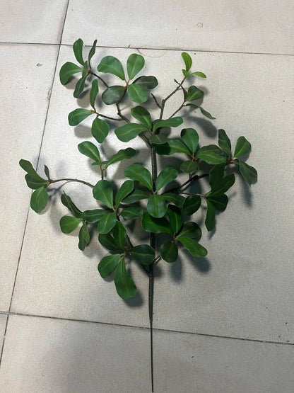 Artificial Olive Leaf