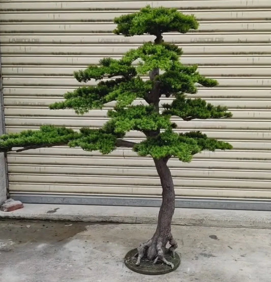 Artificial Plastic Pine Tree Beautiful Outdoor Decorative Pine Tree 6ft