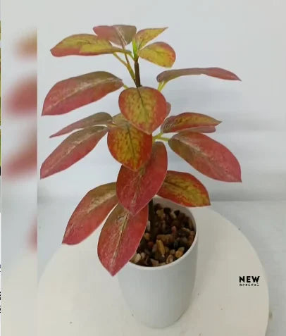 Colorful Artificial Potted Trees Plastic Plants with Pot in Sizes 100cm 160cm Made in GUA by Ov