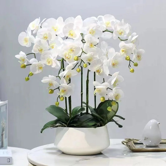 Home Christmas Decorative Multi-color Plastic PU Artificial Orchid Tree Pot Real Touch Flowers 60CM OV Brand Holiday Decoration