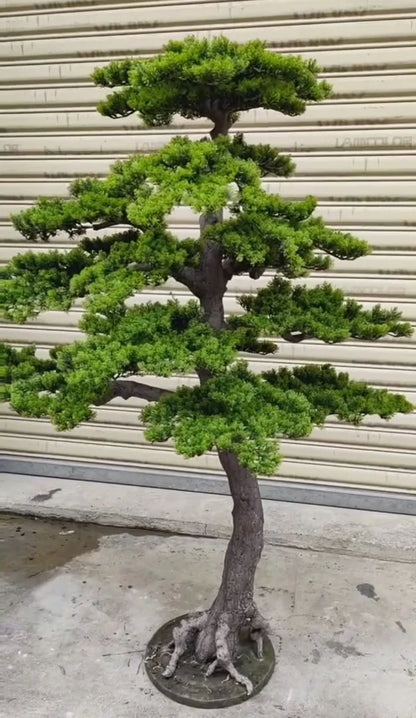 Artificial Plastic Pine Tree Beautiful Outdoor Decorative Pine Tree 6ft