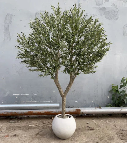 8FT Detachable Artificial Large Olive Tree Decorative Fiberglass Trunk for Hotels for Christmas Decorations