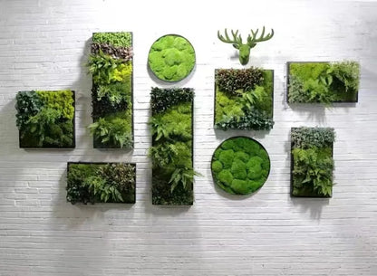 Indoor/Outdoor Home Green Wall Decor Artificial Plant Moss Plastic Grass Flower Leaf Wall Decors