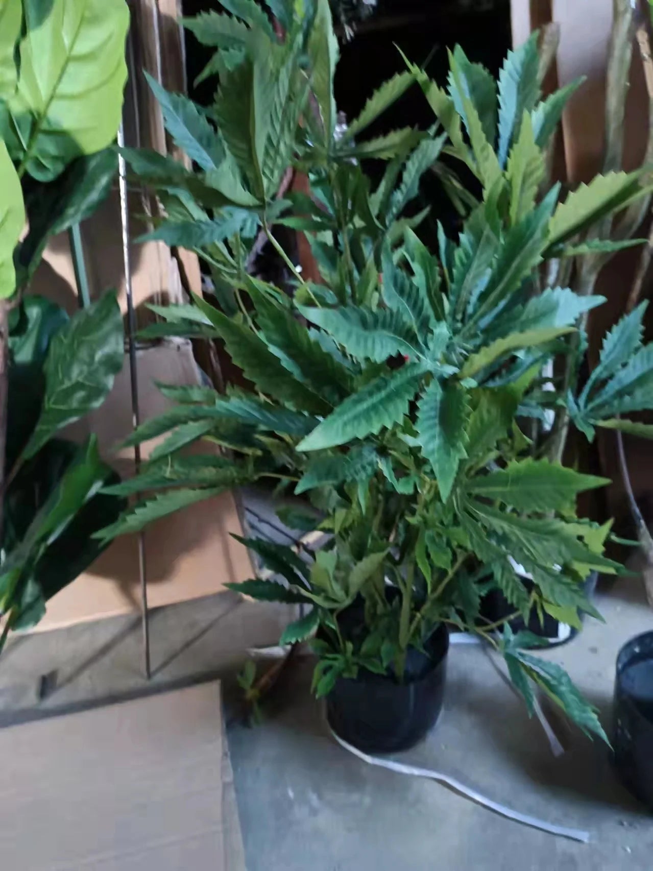 Artificial Hemp Plants Fabric and PE Material Fake Hemp Plastic Plant Green Eco-Friendly 120-150cm in Stock