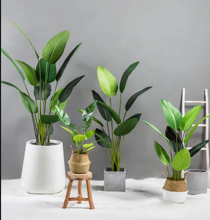 Artificial Banana Plants 150cm Tall Use for Home Office  Plastic Plants