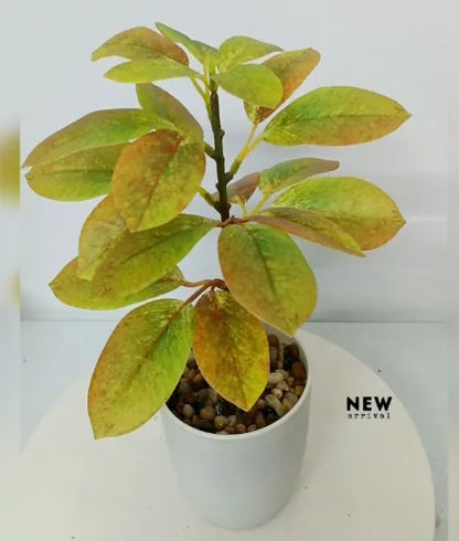 Colorful Artificial Potted Trees Plastic Plants with Pot in Sizes 100cm 160cm Made in GUA by Ov