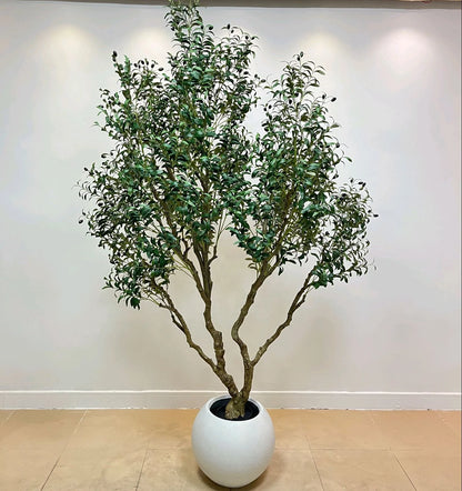 Tall 6ft Artificial Olive Tree Bonsai Made in China Potted in Plastic Pot Ov Brand