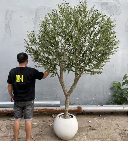 8FT Detachable Artificial Large Olive Tree Decorative Fiberglass Trunk for Hotels for Christmas Decorations