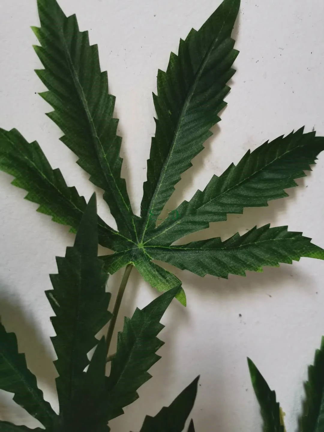 Artificial Hemp Plants 120cm Fabric Plastic Plant with Fake Hemptique Style Green Color 5-8 Years Indoor Lifetime