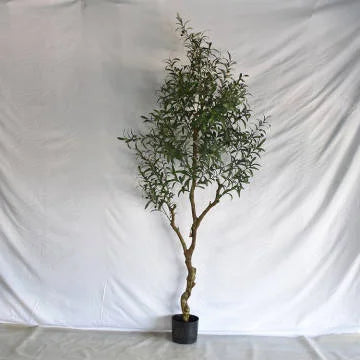 Tall 6ft Artificial Olive Tree Bonsai Made in China Potted in Plastic Pot Ov Brand
