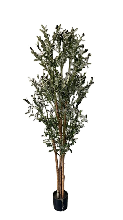 6ft Tall Eco-Friendly Plastic Artificial Olive Tree with Real Wood Trunk Home Decor Indoor Plant